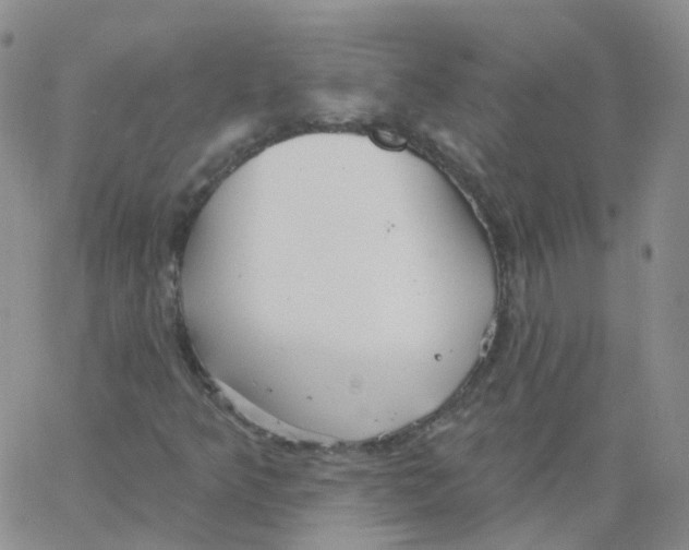 X0000062911349200602101822