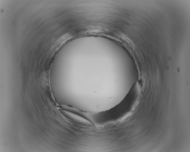 X0000062911353200602101822