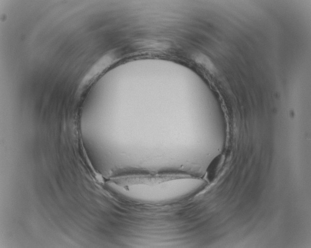 X0000062911354200602101822