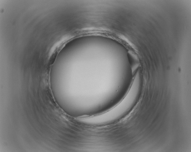 X0000062911357200602101821