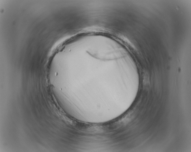 X0000062911358200602101821