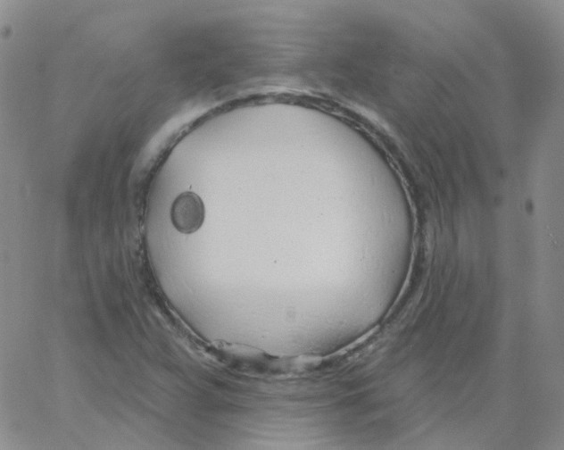 X0000062911359200602101821