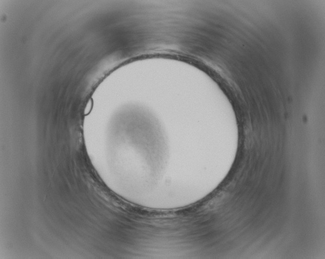 X0000062911363200602101821