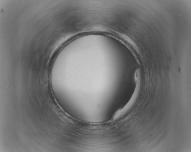 X0000062911364200602101821