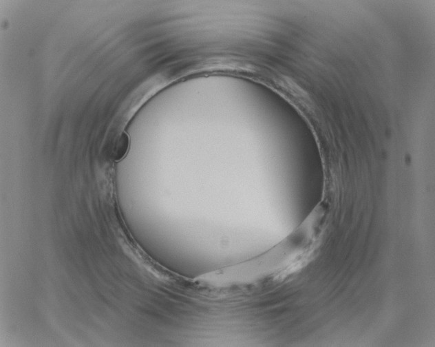 X0000062911369200602101821