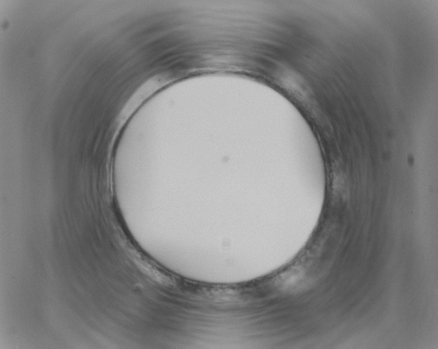 X0000062911370200602101821