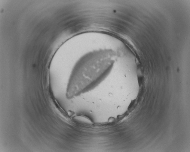 X0000062911371200602101821