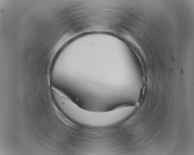 X0000062911372200602101821