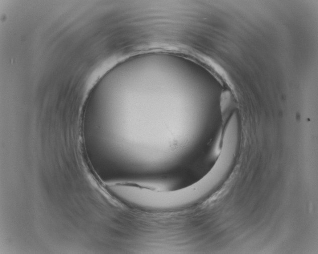 X0000062911373200602101821