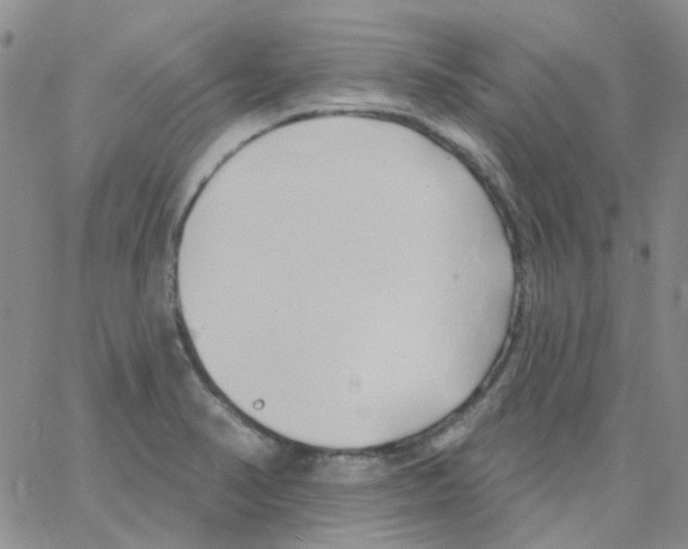 X0000062911374200602101821