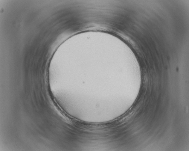 X0000062911375200602101821