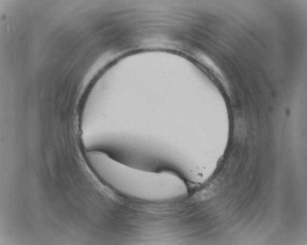 X0000062911376200602101821