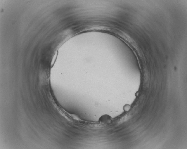 X0000062911377200602101821