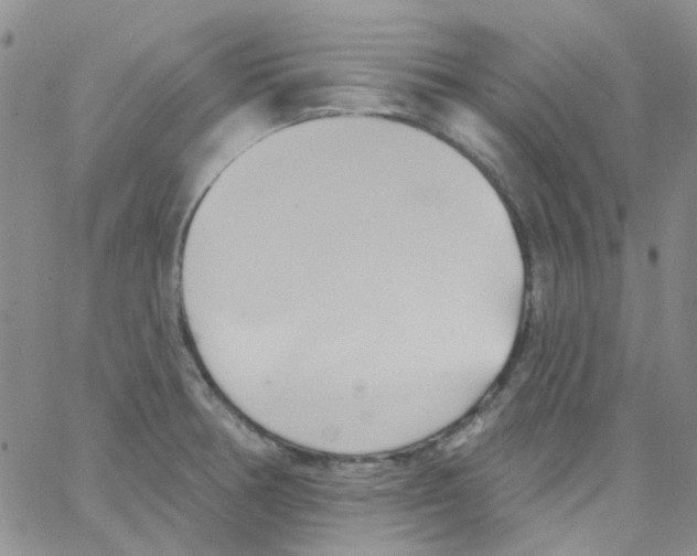 X0000062911378200602101821