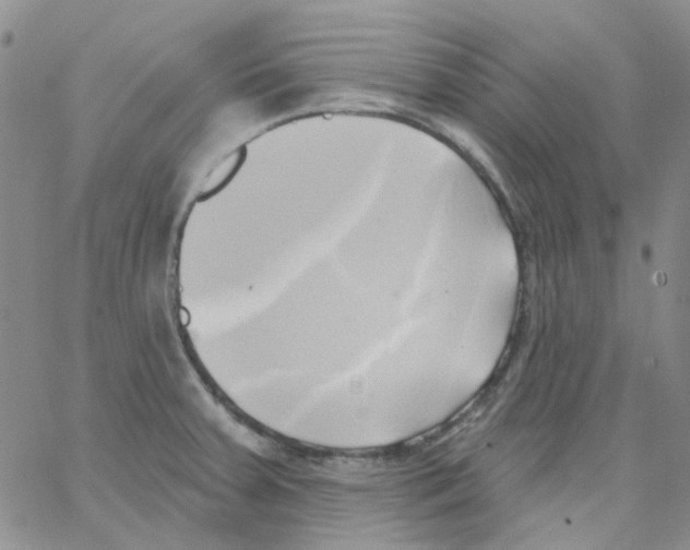 X0000062911379200602101821