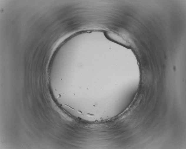 X0000062911380200602101821