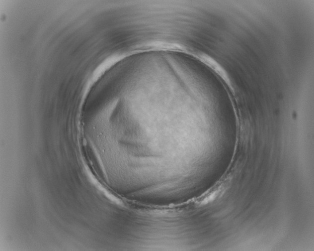 X0000062911381200602101821