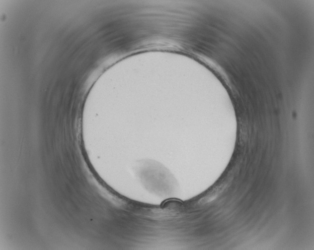 X0000062911383200602101821