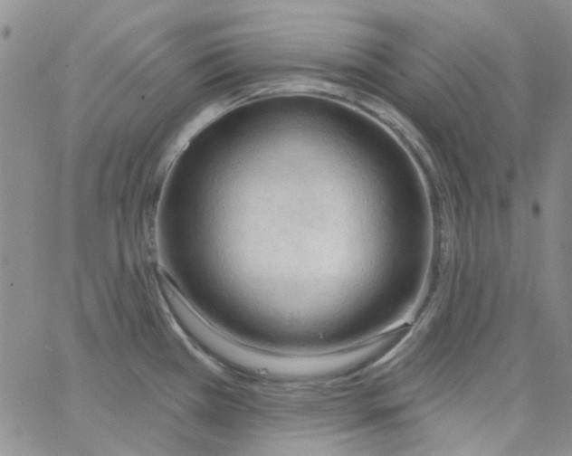 X0000062911385200602101821