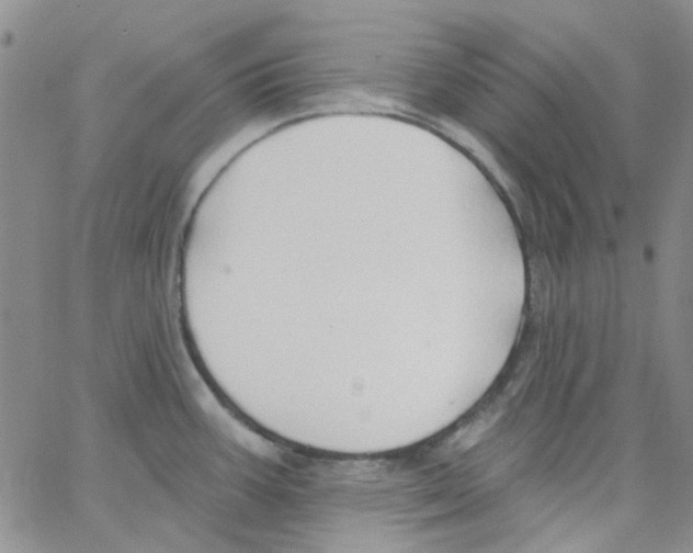 X0000062911387200602101821