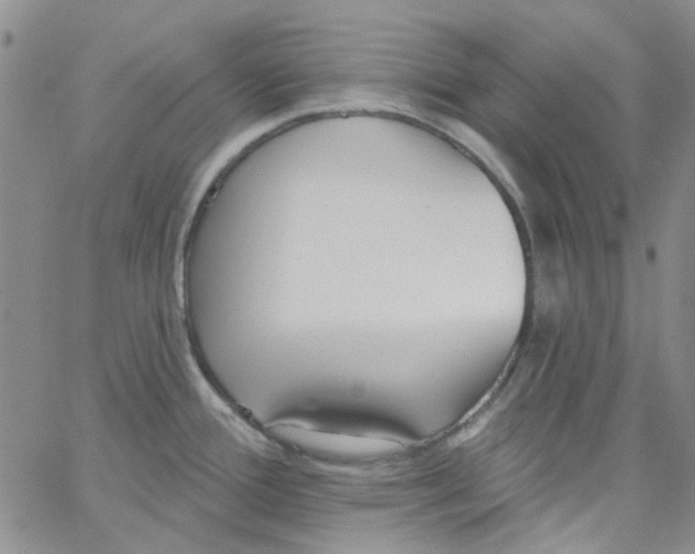 X0000062911388200602101821