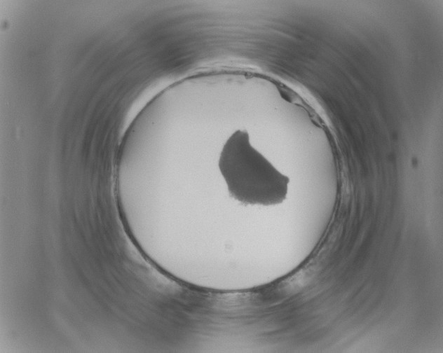 X0000062911390200602101821