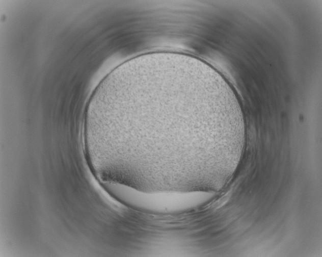 X0000062911391200602101821