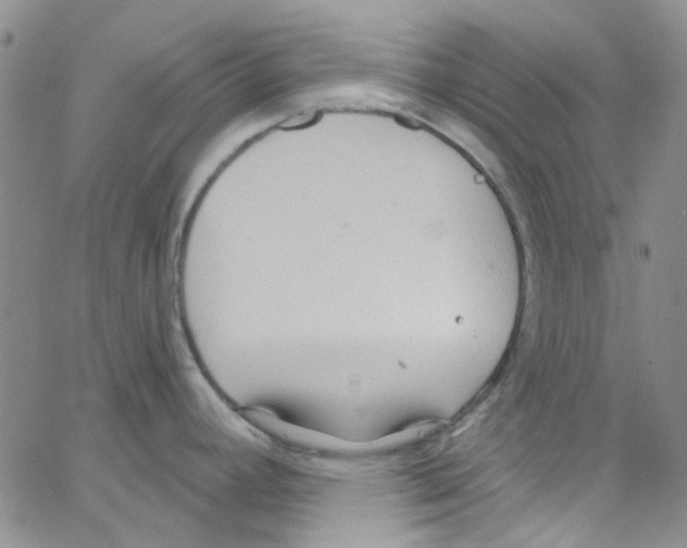 X0000062911392200602101821