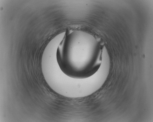 X0000062911394200602101820