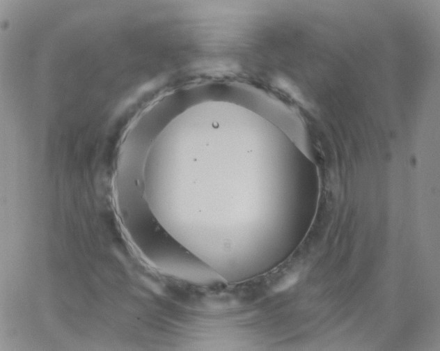 X0000062911398200602101820