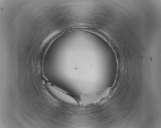 X0000062911402200602101820