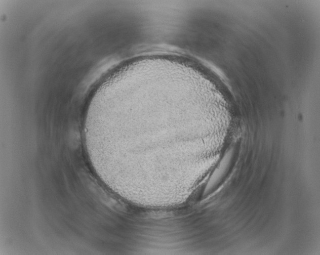 X0000062911407200602101820