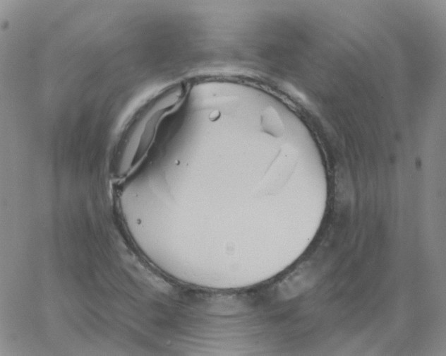 X0000062911408200602101820