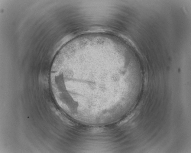 X0000062911409200602101820