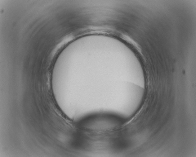 X0000062911411200602101820