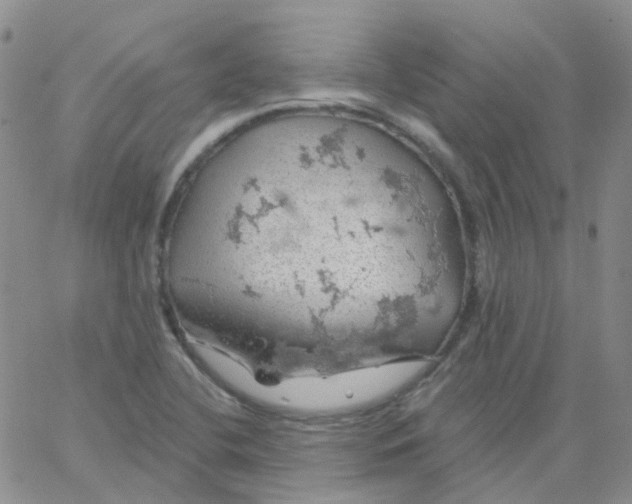 X0000062911412200602101820