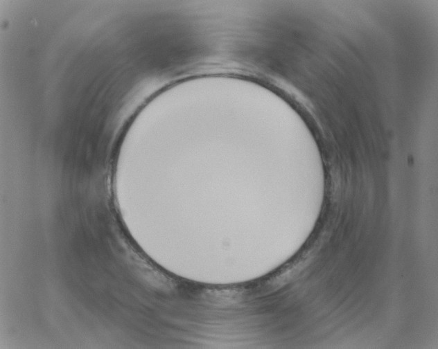 X0000062911415200602101820