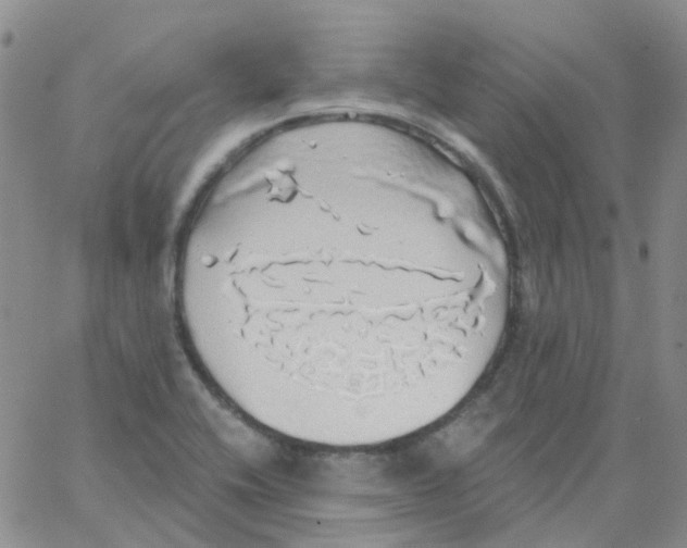 X0000062911416200602101820