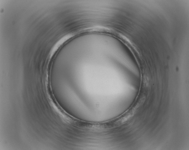 X0000062911418200602101821