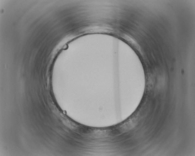 X0000062911419200602101821