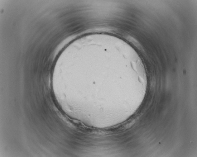 X0000062911420200602101821