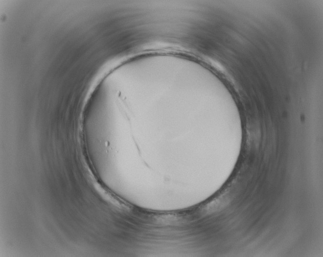 X0000062911421200602101821