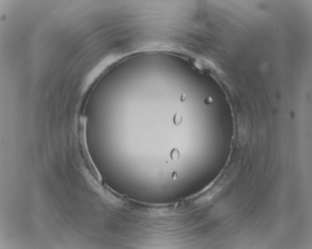 X0000062911422200602101821