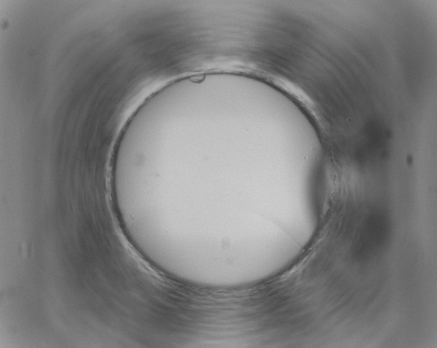 X0000062911423200602101821