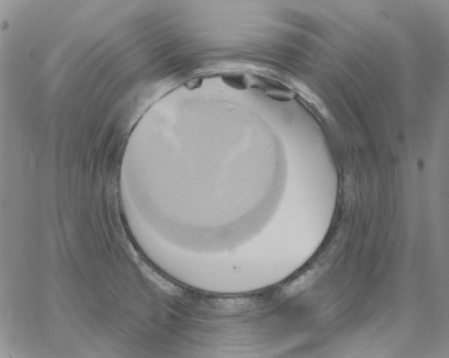 X0000062911425200602101821