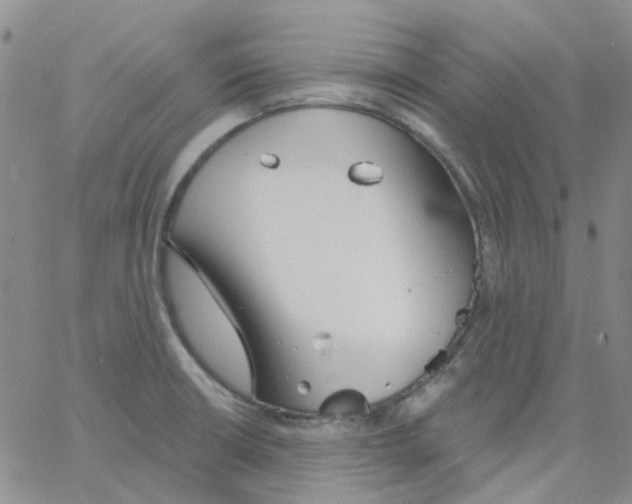 X0000062911426200602101821