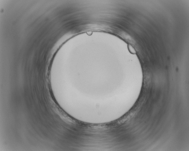 X0000062911427200602101821