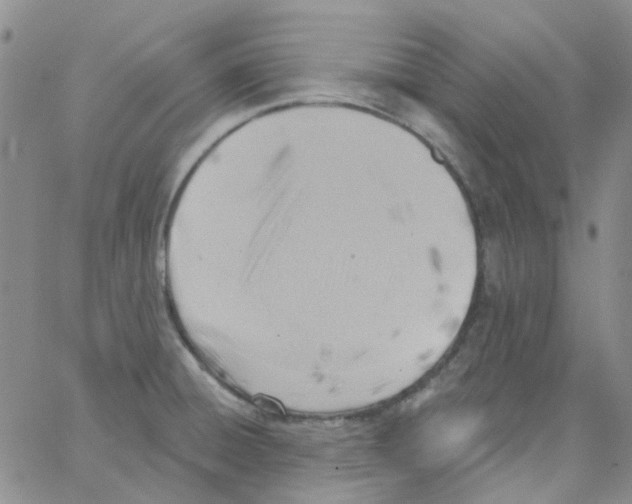 X0000062911428200602101821