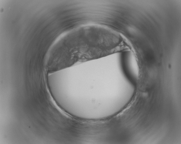 X0000062911429200602101821