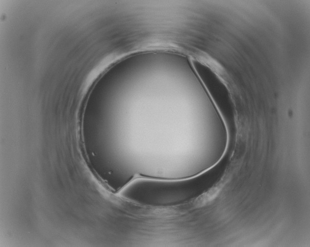 X0000062911430200602101821